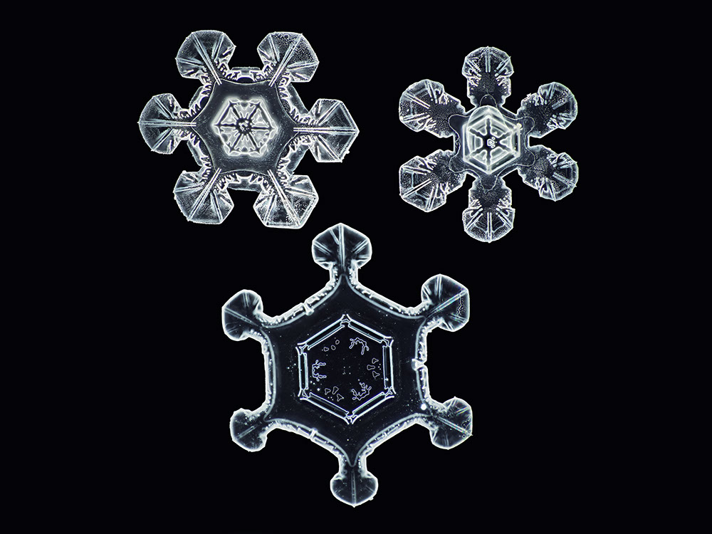 Detail Image Of A Snowflake Nomer 21