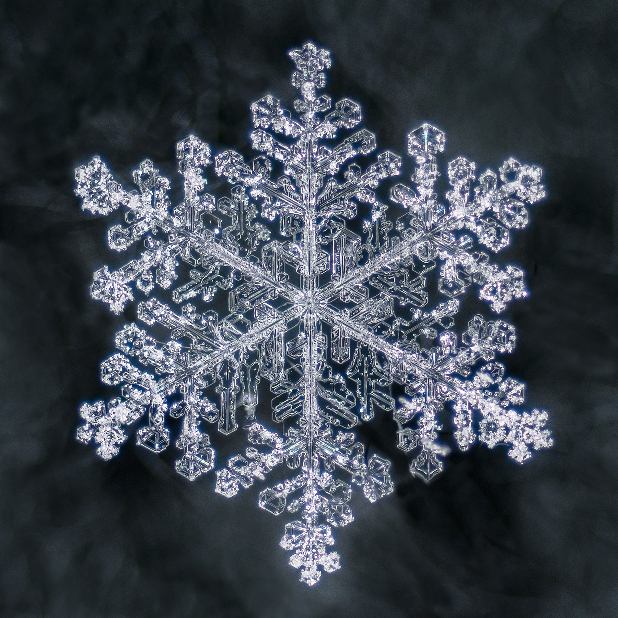 Detail Image Of A Snowflake Nomer 4