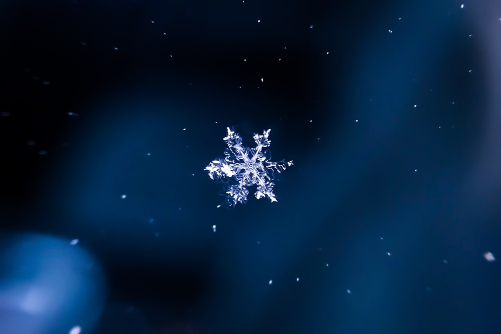 Detail Image Of A Snowflake Nomer 28
