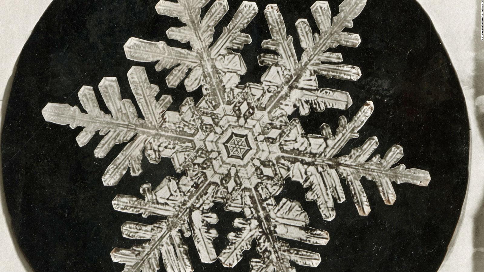 Detail Image Of A Snowflake Nomer 30