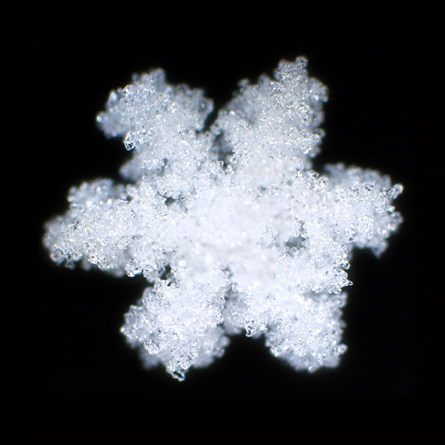 Detail Image Of A Snowflake Nomer 32