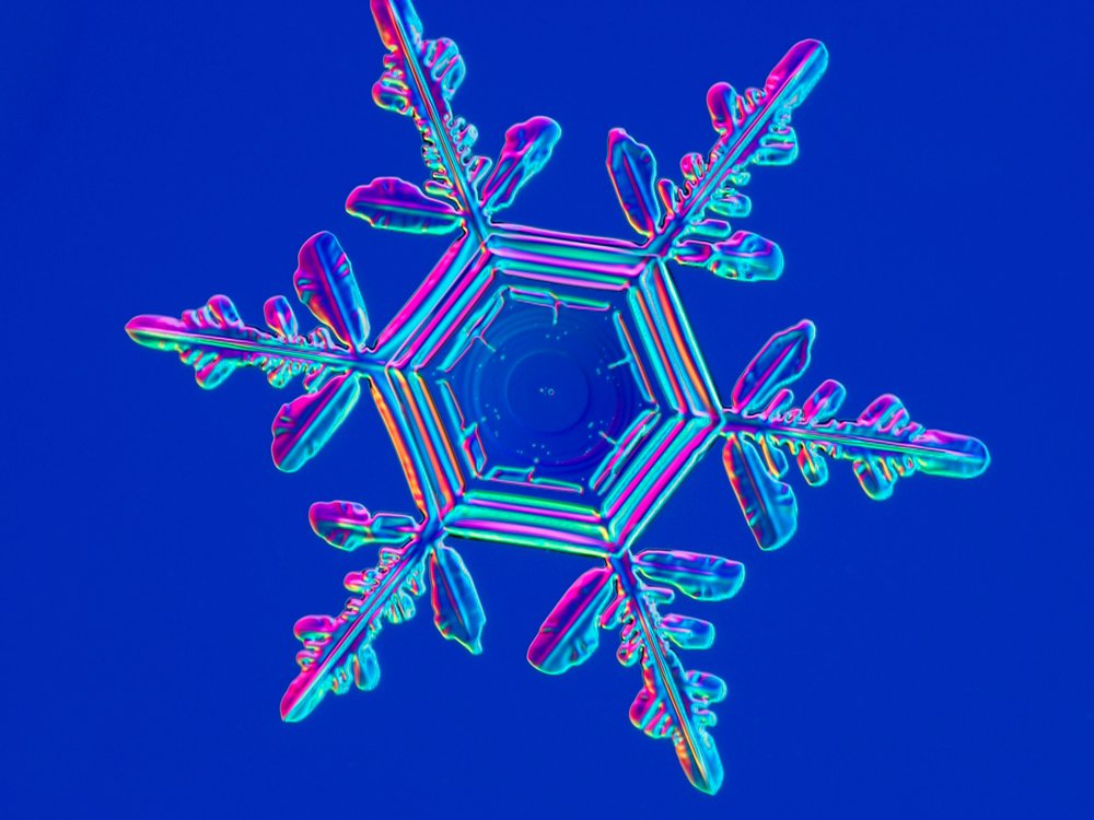 Detail Image Of A Snowflake Nomer 38