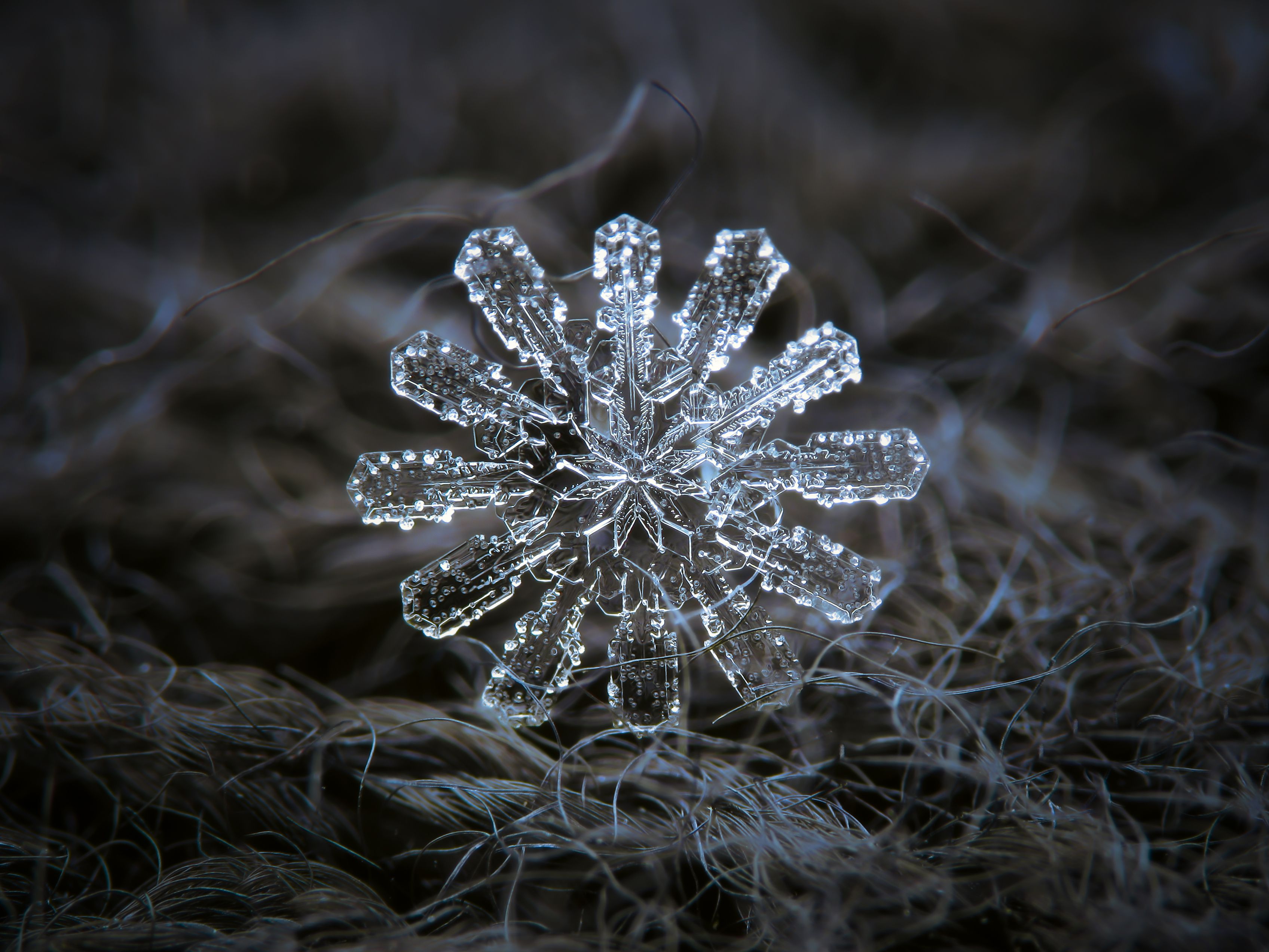 Detail Image Of A Snowflake Nomer 41