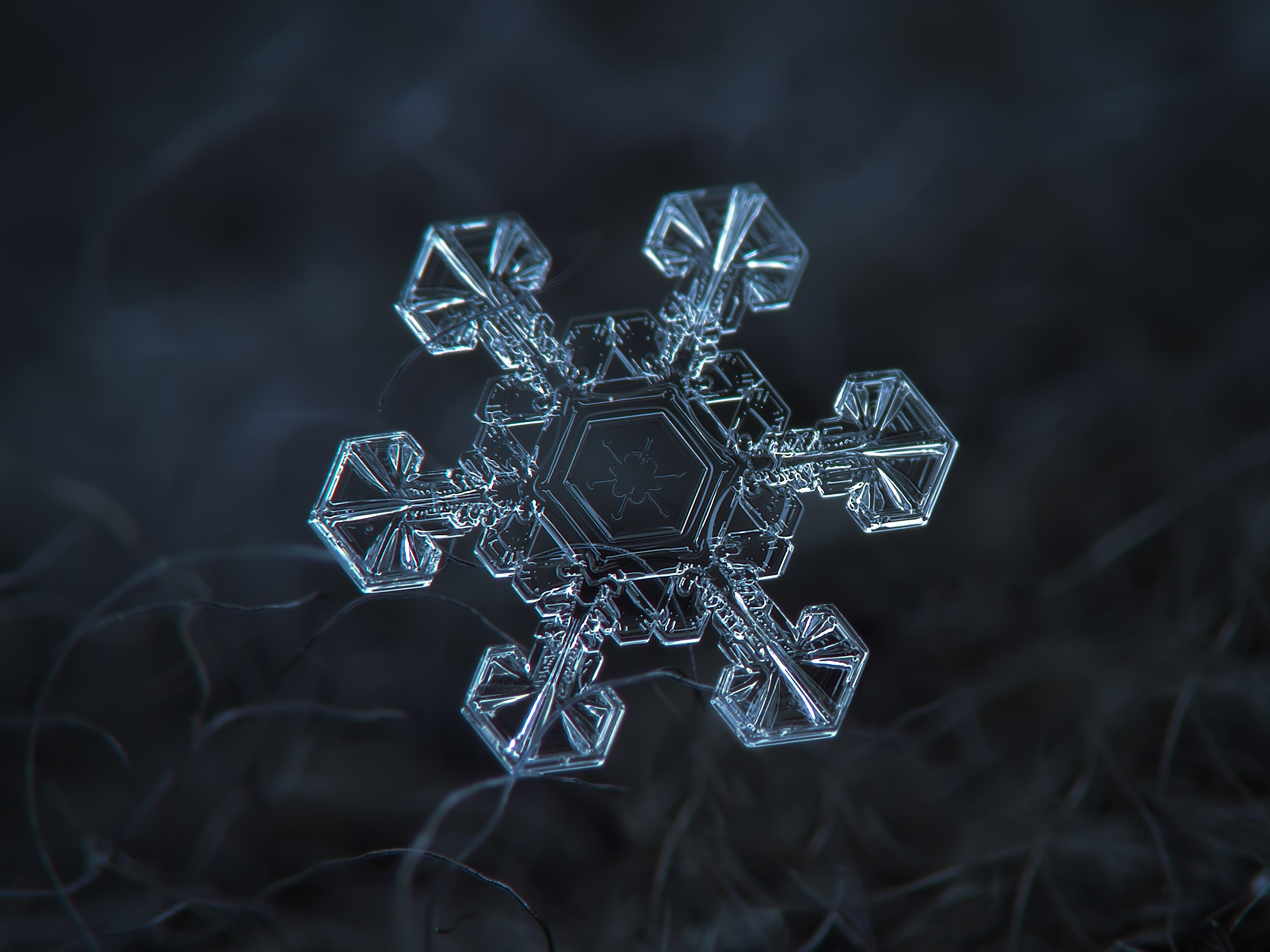 Detail Image Of A Snowflake Nomer 42