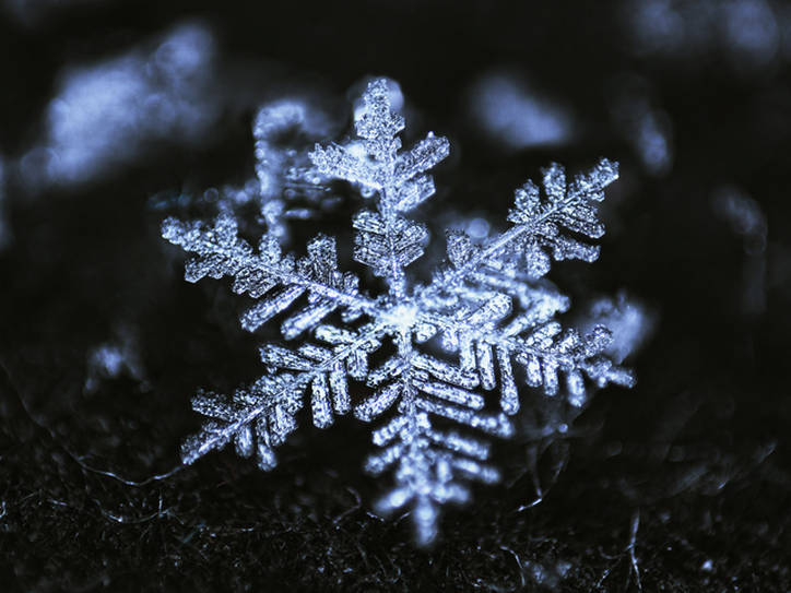 Detail Image Of A Snowflake Nomer 6