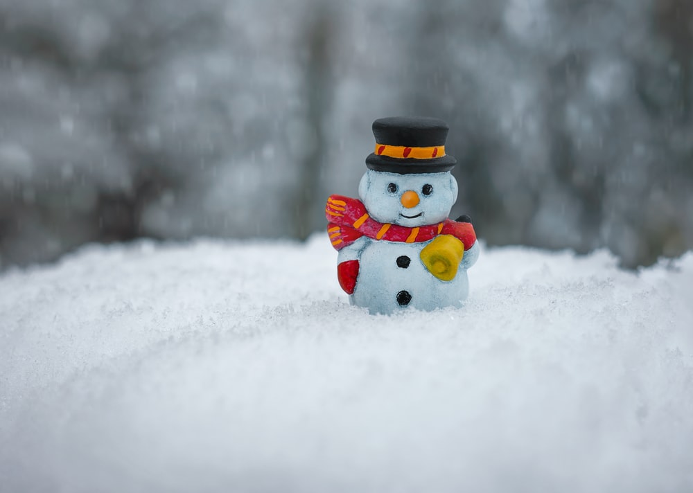 Detail Image Of A Snowman Nomer 27