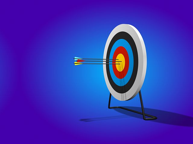 Detail Image Of A Target Nomer 11