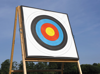 Detail Image Of A Target Nomer 35