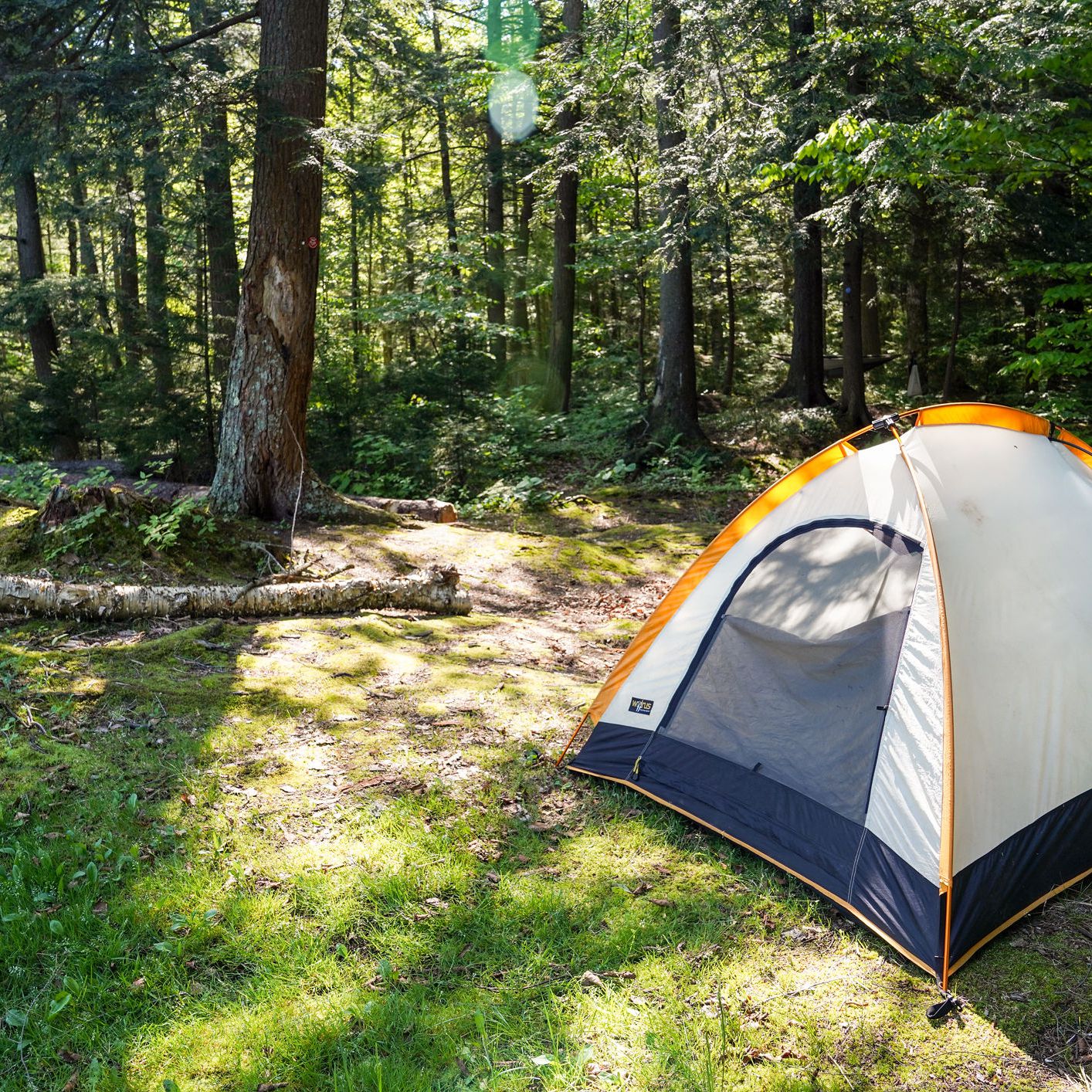 Detail Image Of A Tent Nomer 2