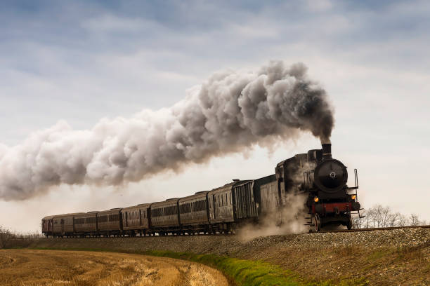 Detail Image Of A Train Nomer 13