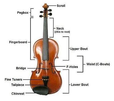 Detail Image Of A Violin Nomer 19