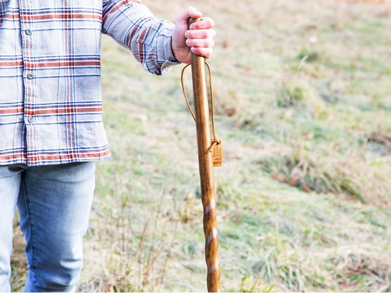 Detail Image Of A Walking Stick Nomer 17