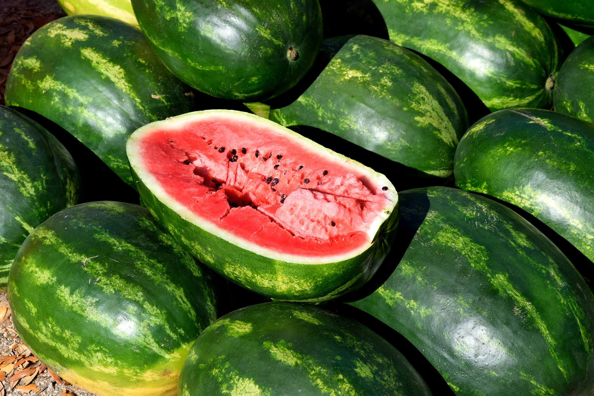 Detail Image Of A Watermelon Nomer 50