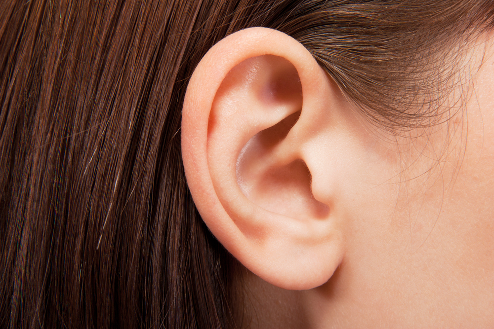 Image Of An Ear - KibrisPDR