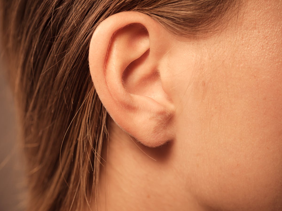 Detail Image Of An Ear Nomer 12