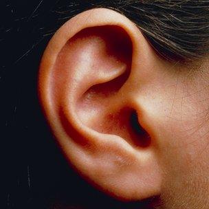 Detail Image Of An Ear Nomer 14