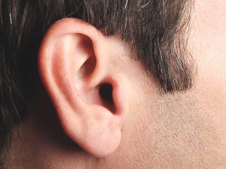 Detail Image Of An Ear Nomer 15