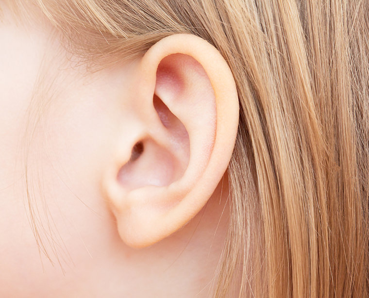Detail Image Of An Ear Nomer 16