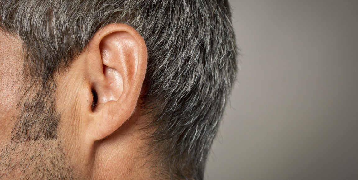 Detail Image Of An Ear Nomer 18
