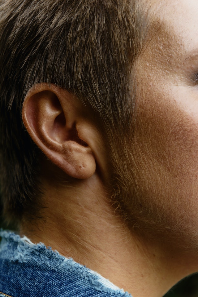 Detail Image Of An Ear Nomer 28