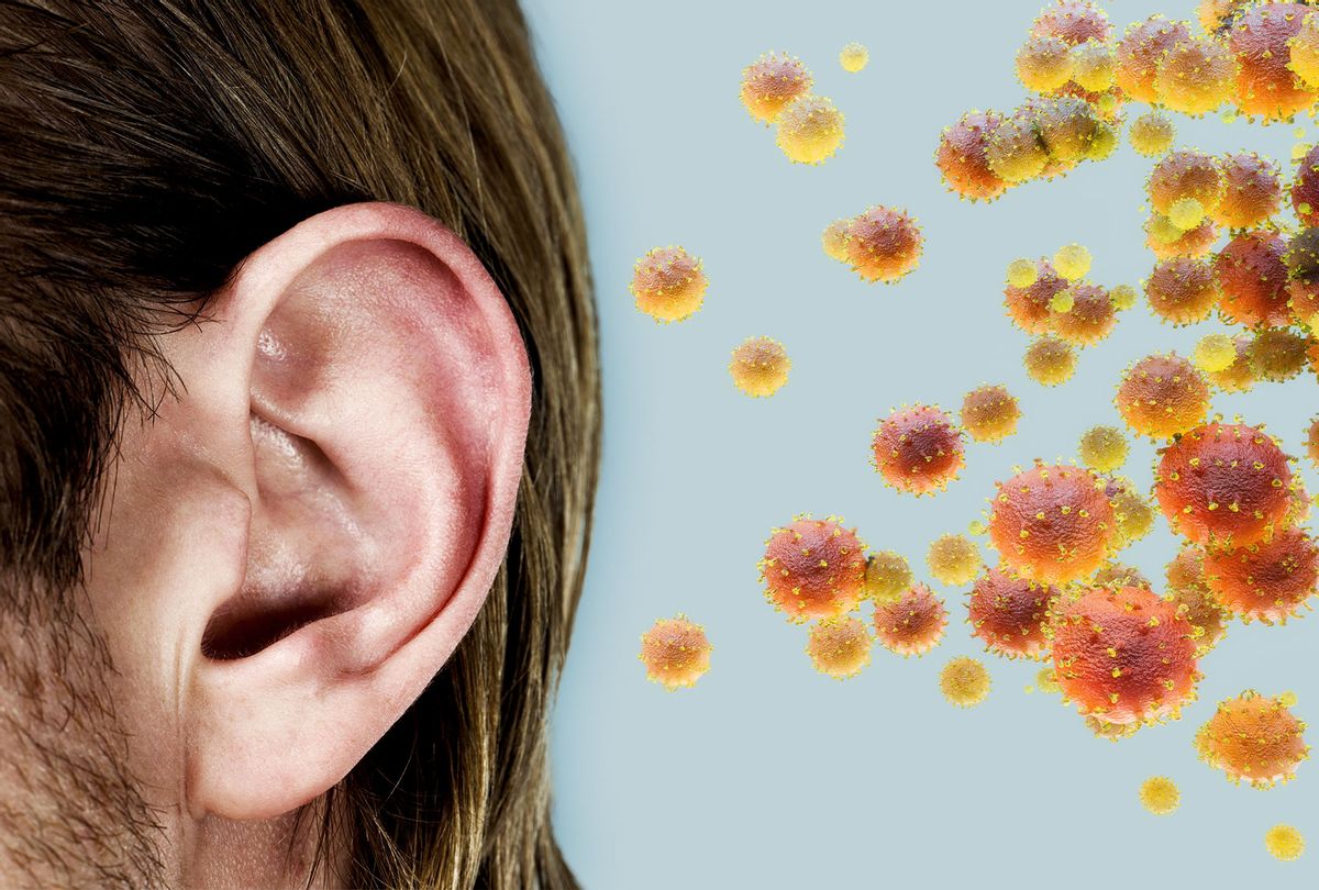 Detail Image Of An Ear Nomer 39