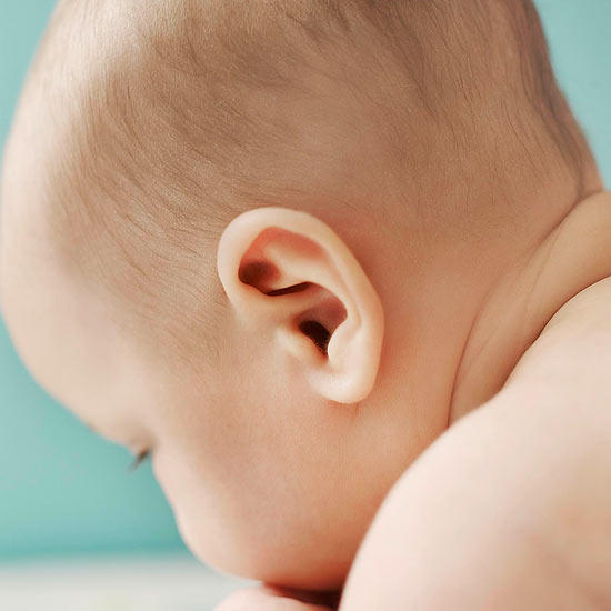 Detail Image Of An Ear Nomer 51