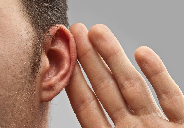 Detail Image Of An Ear Nomer 10
