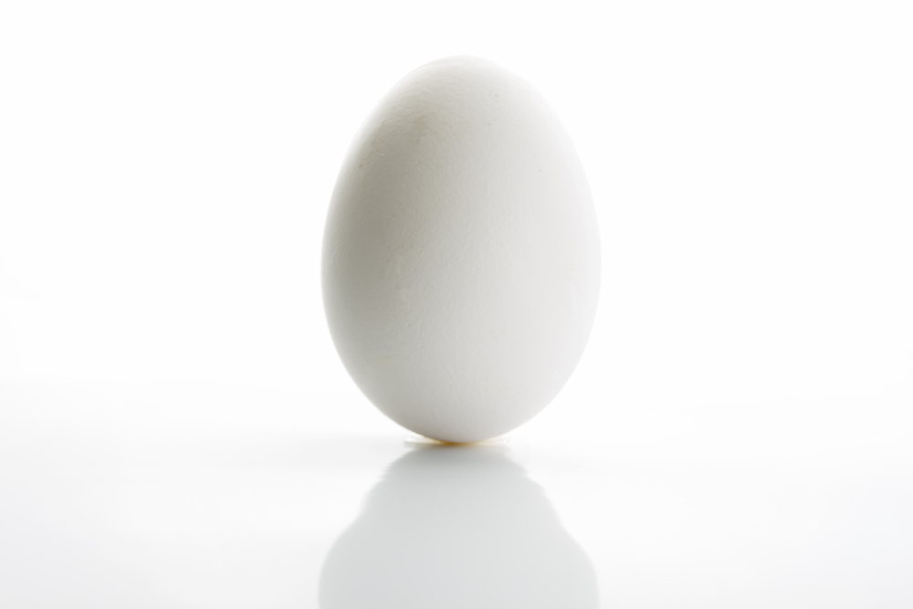 Detail Image Of An Egg Nomer 28