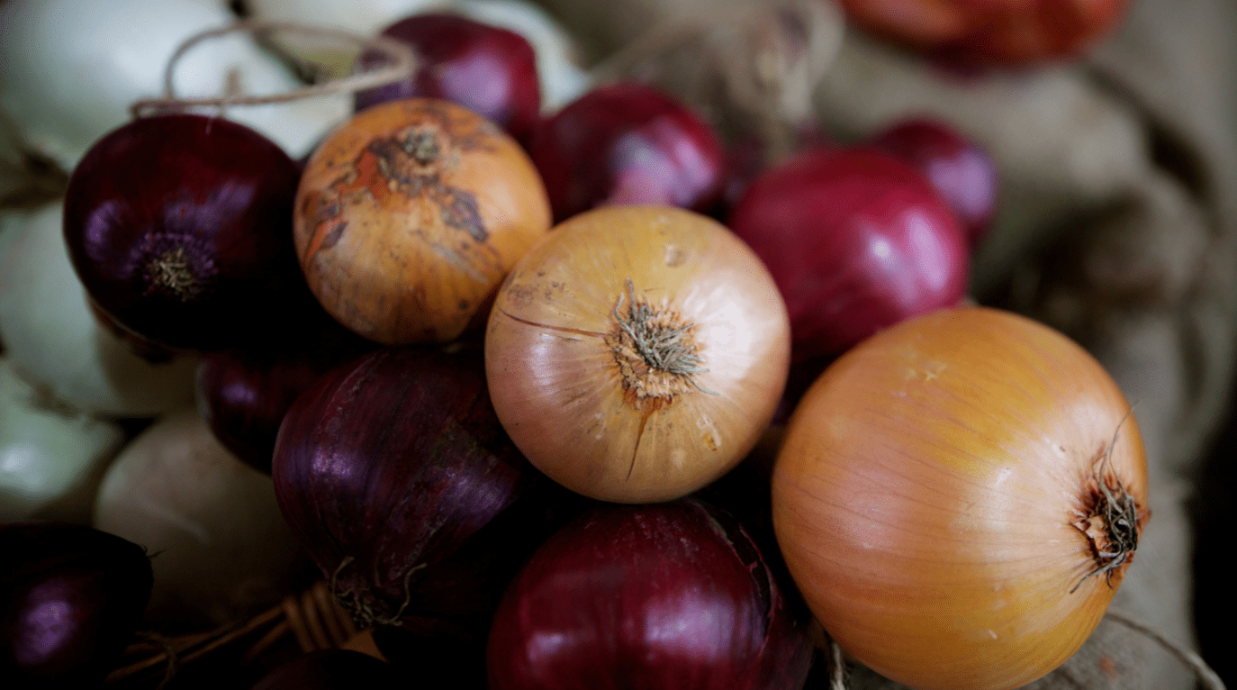 Detail Image Of An Onion Nomer 57