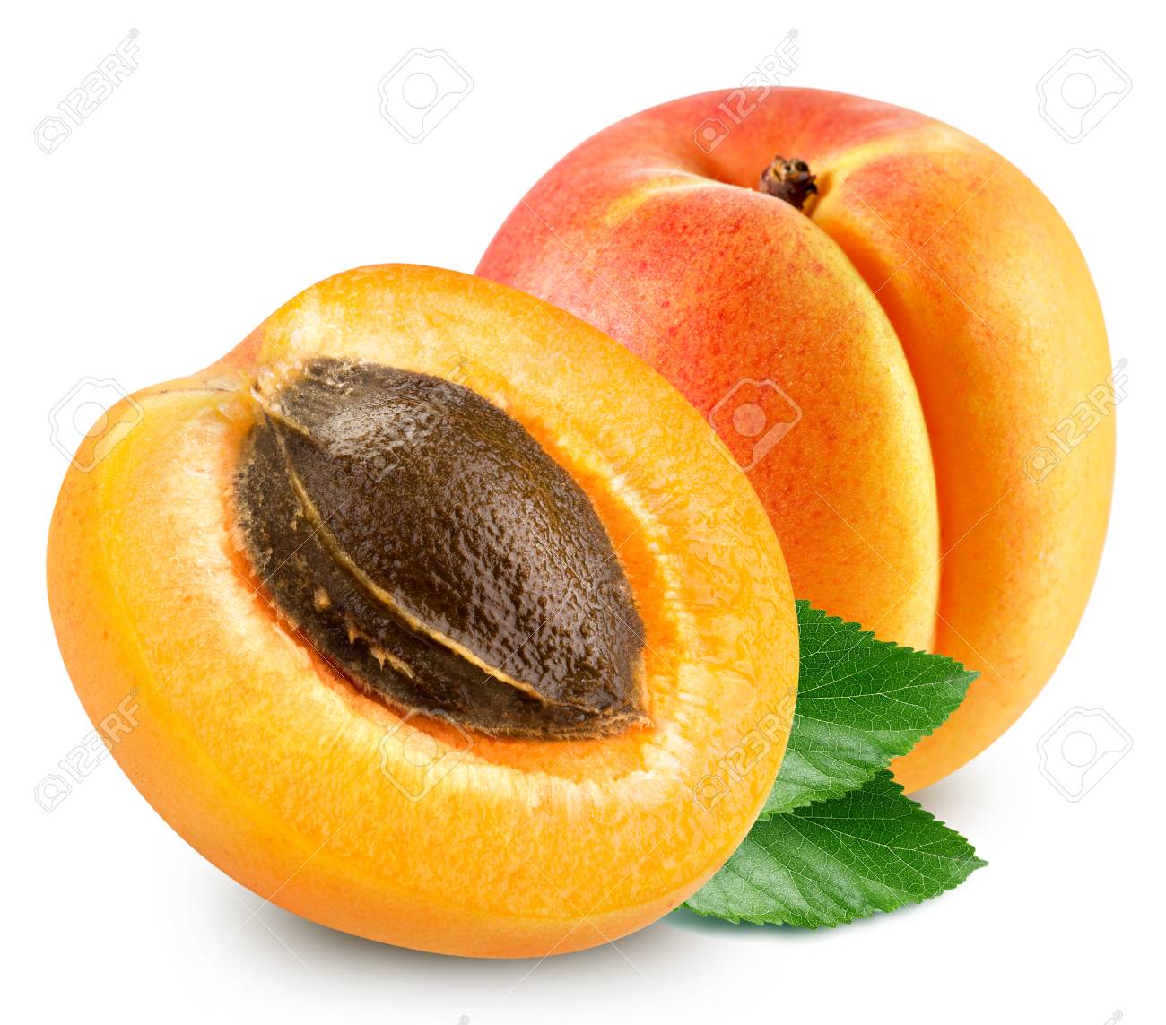 Detail Image Of Apricot Fruit Nomer 13