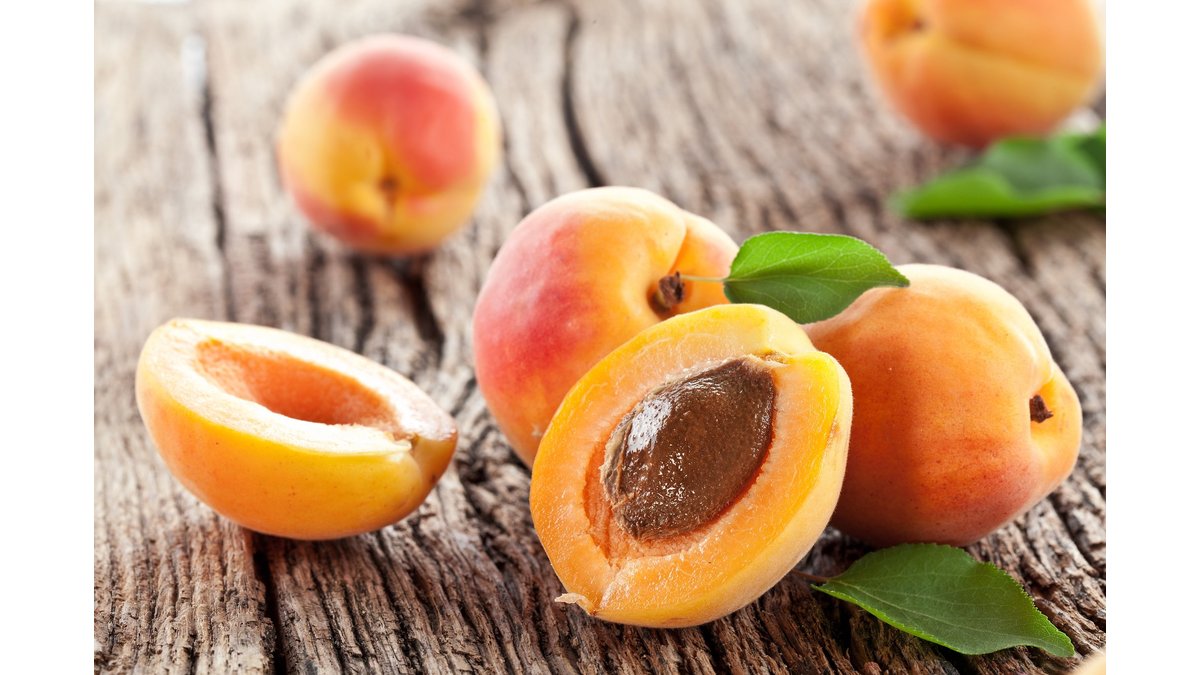 Detail Image Of Apricot Fruit Nomer 28