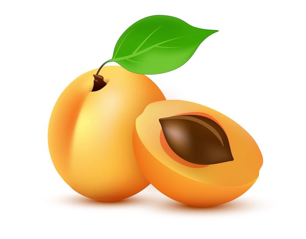 Detail Image Of Apricot Fruit Nomer 43