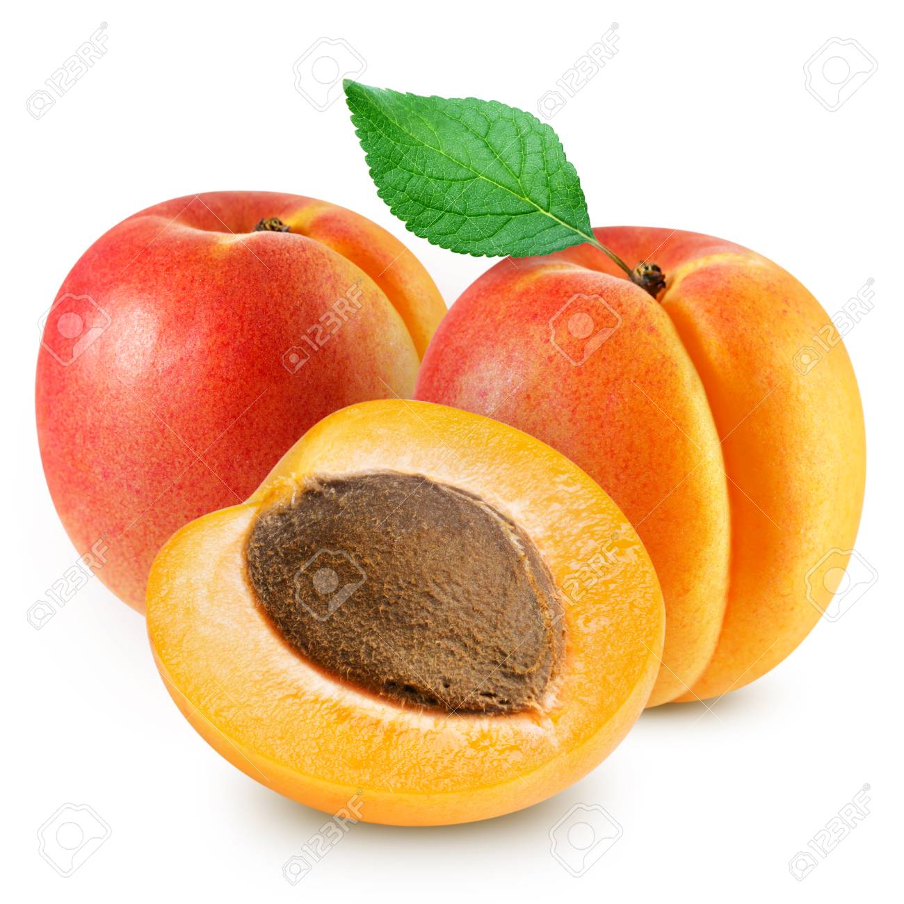 Detail Image Of Apricot Fruit Nomer 47