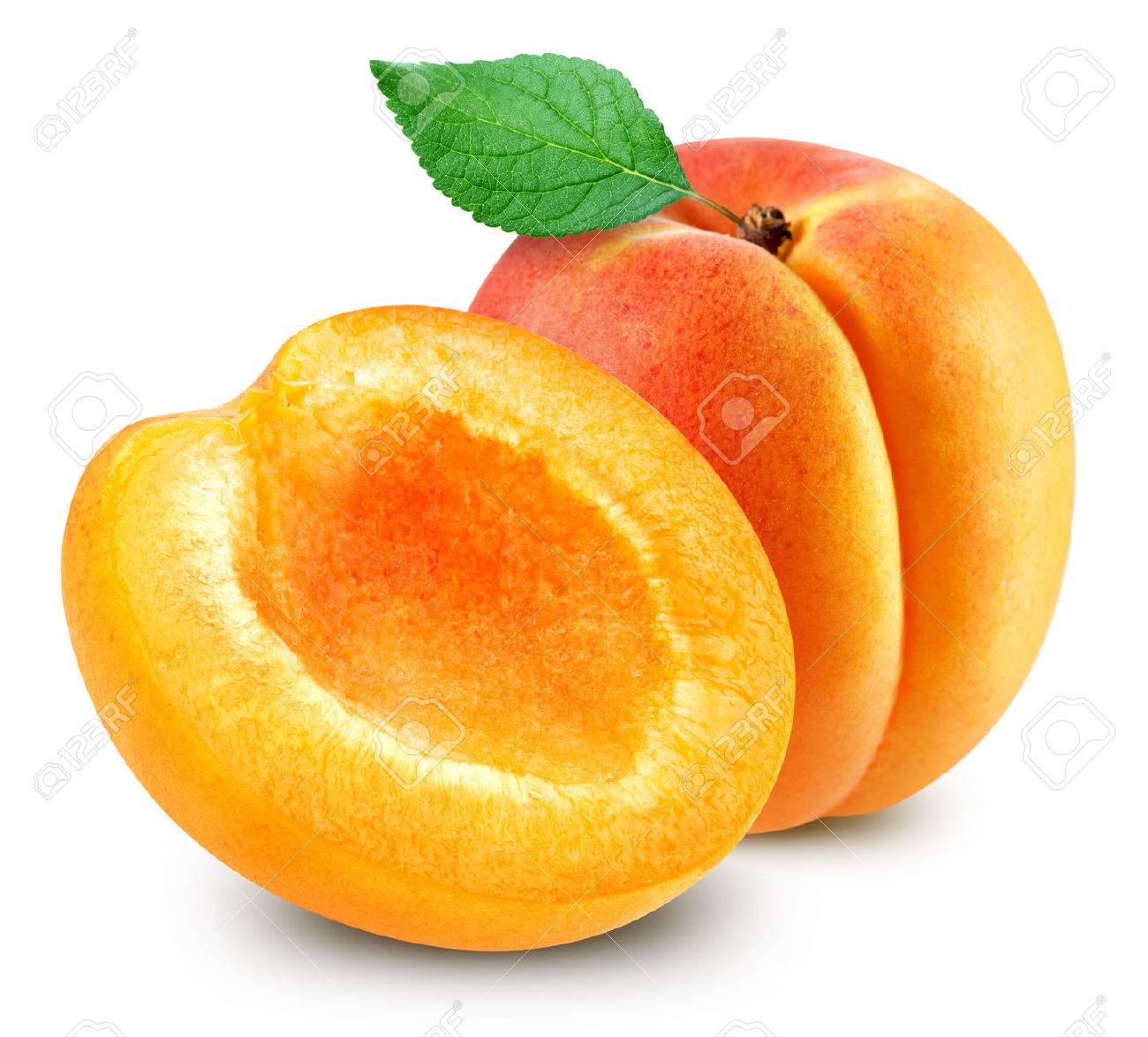 Detail Image Of Apricot Fruit Nomer 9