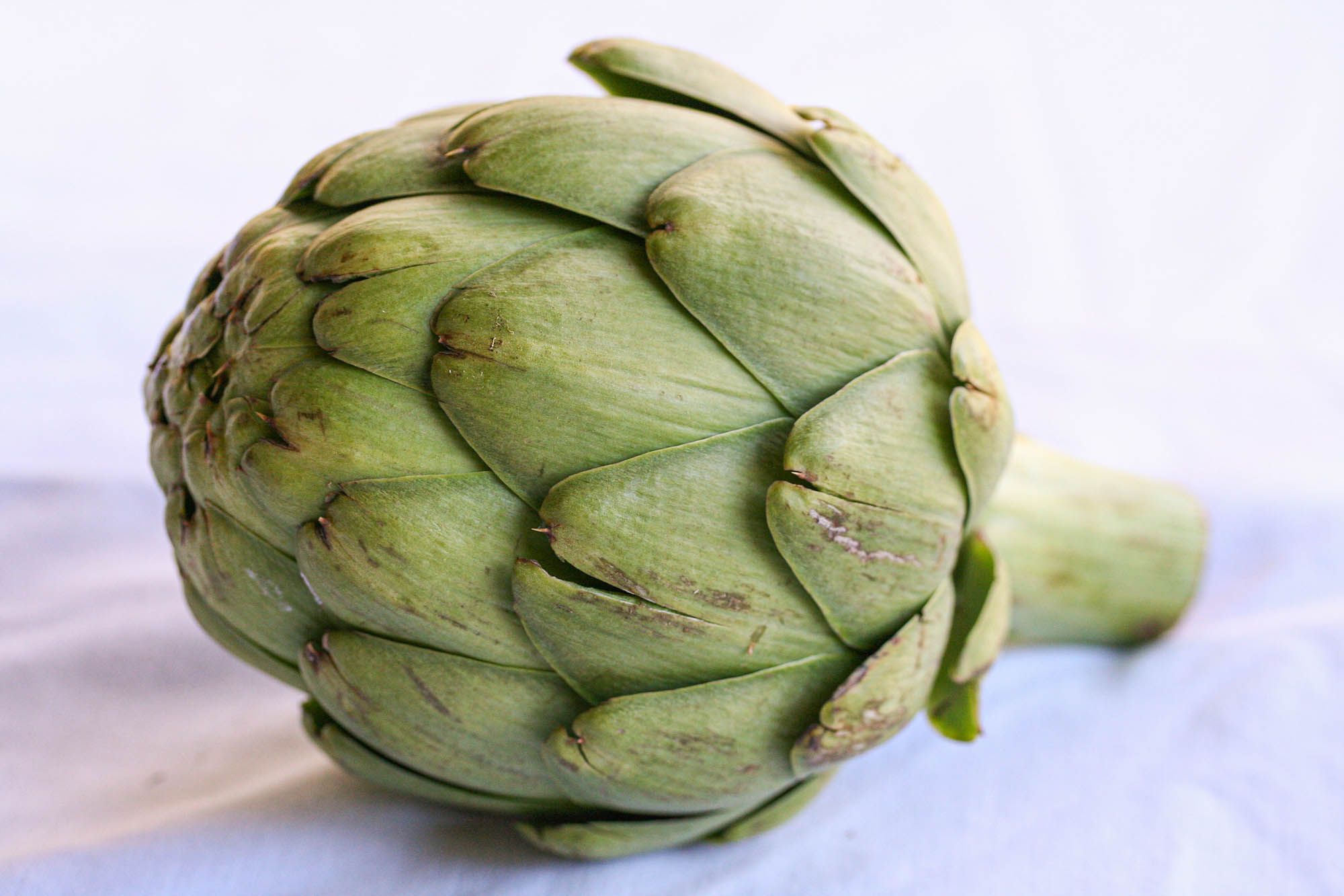 Image Of Artichoke - KibrisPDR