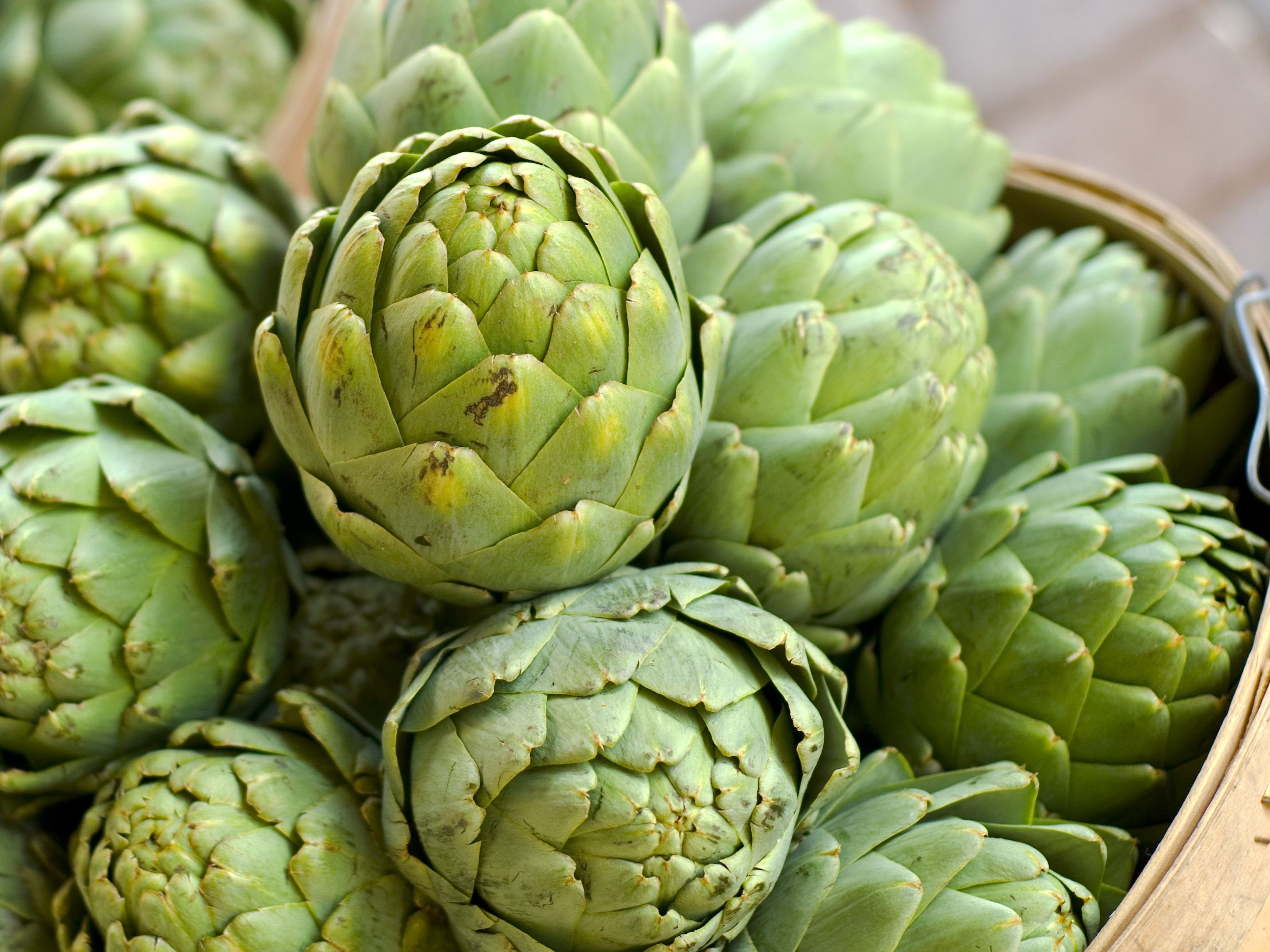 Detail Image Of Artichoke Nomer 11