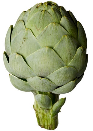 Detail Image Of Artichoke Nomer 18