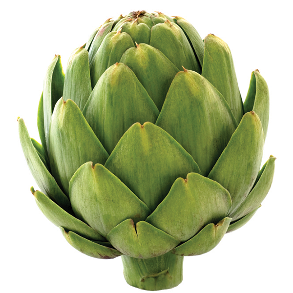Detail Image Of Artichoke Nomer 22