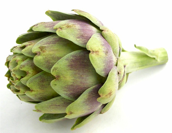 Detail Image Of Artichoke Nomer 26
