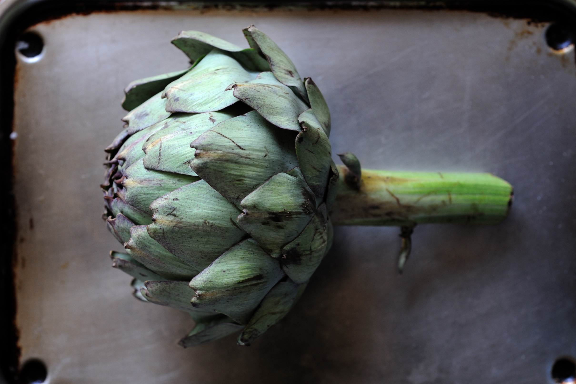 Detail Image Of Artichoke Nomer 33