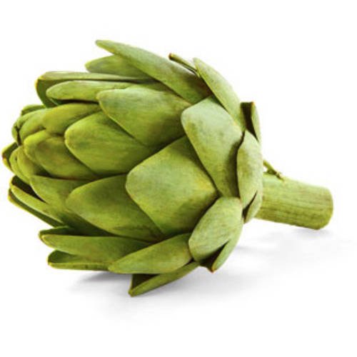 Detail Image Of Artichoke Nomer 39