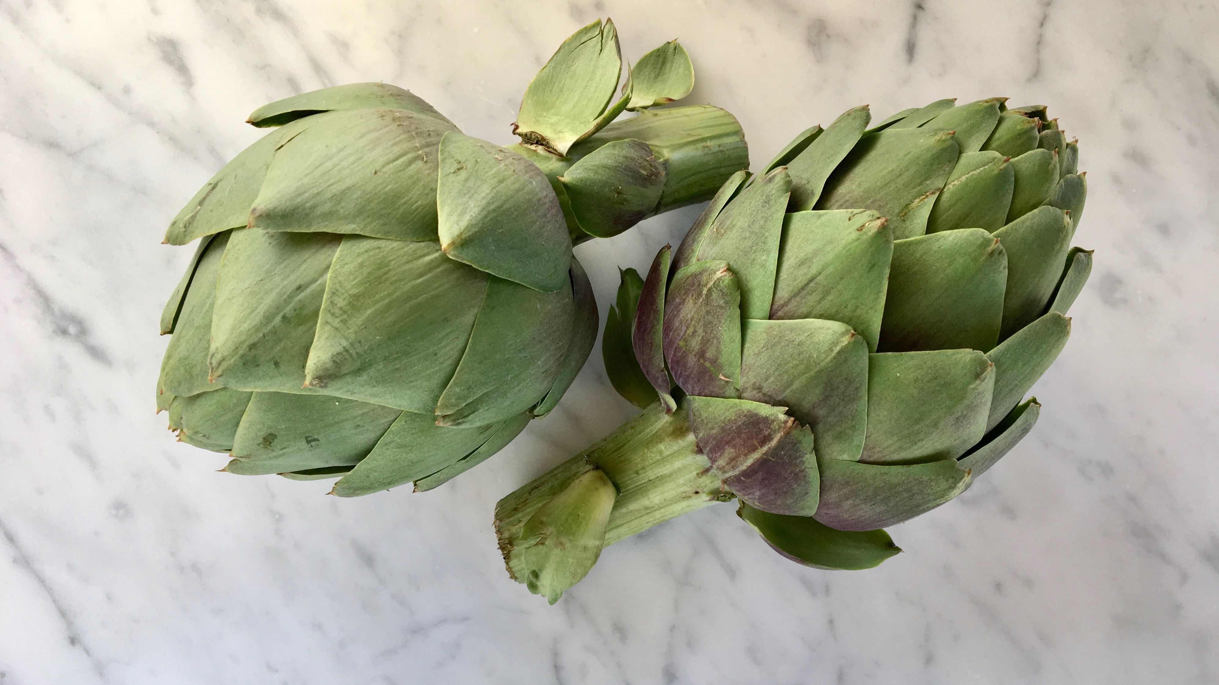 Detail Image Of Artichoke Nomer 45
