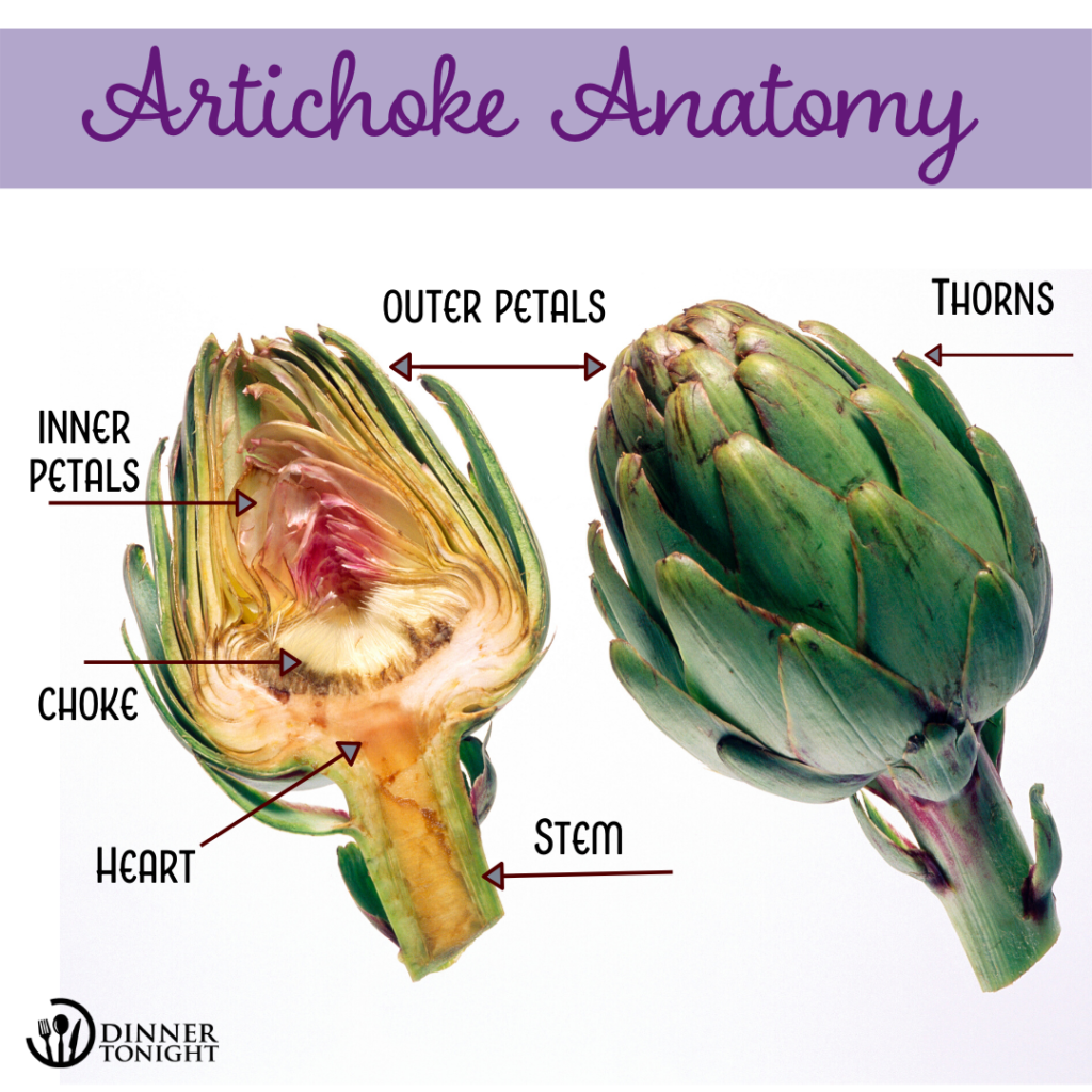 Detail Image Of Artichoke Nomer 7