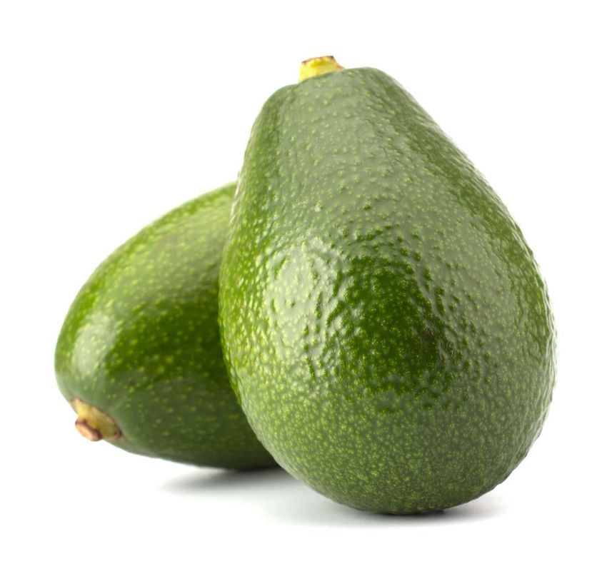 Detail Image Of Avocado Tree Nomer 30