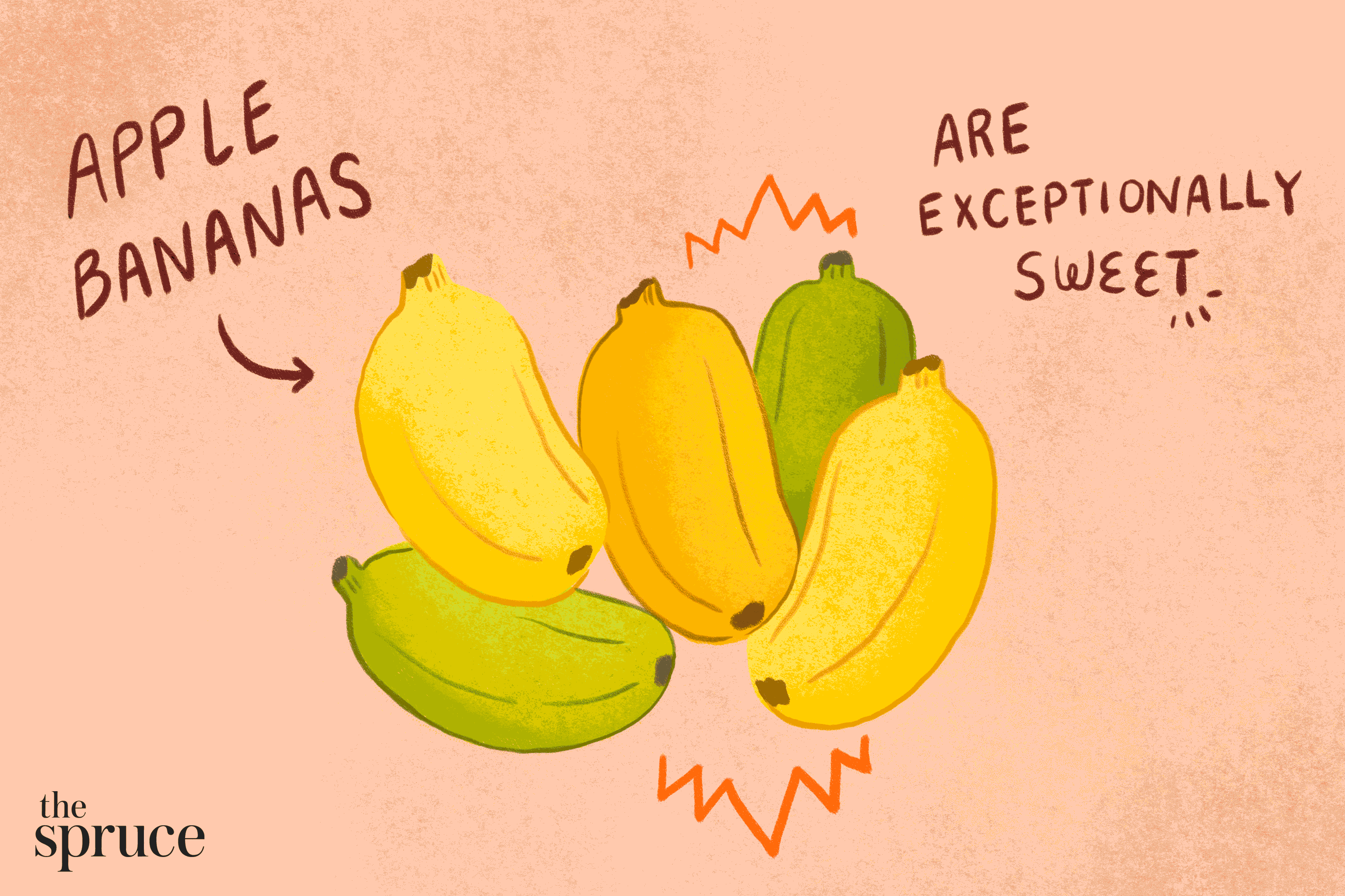 Detail Image Of Banana Fruit Nomer 37
