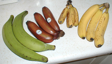 Detail Image Of Banana Fruit Nomer 41