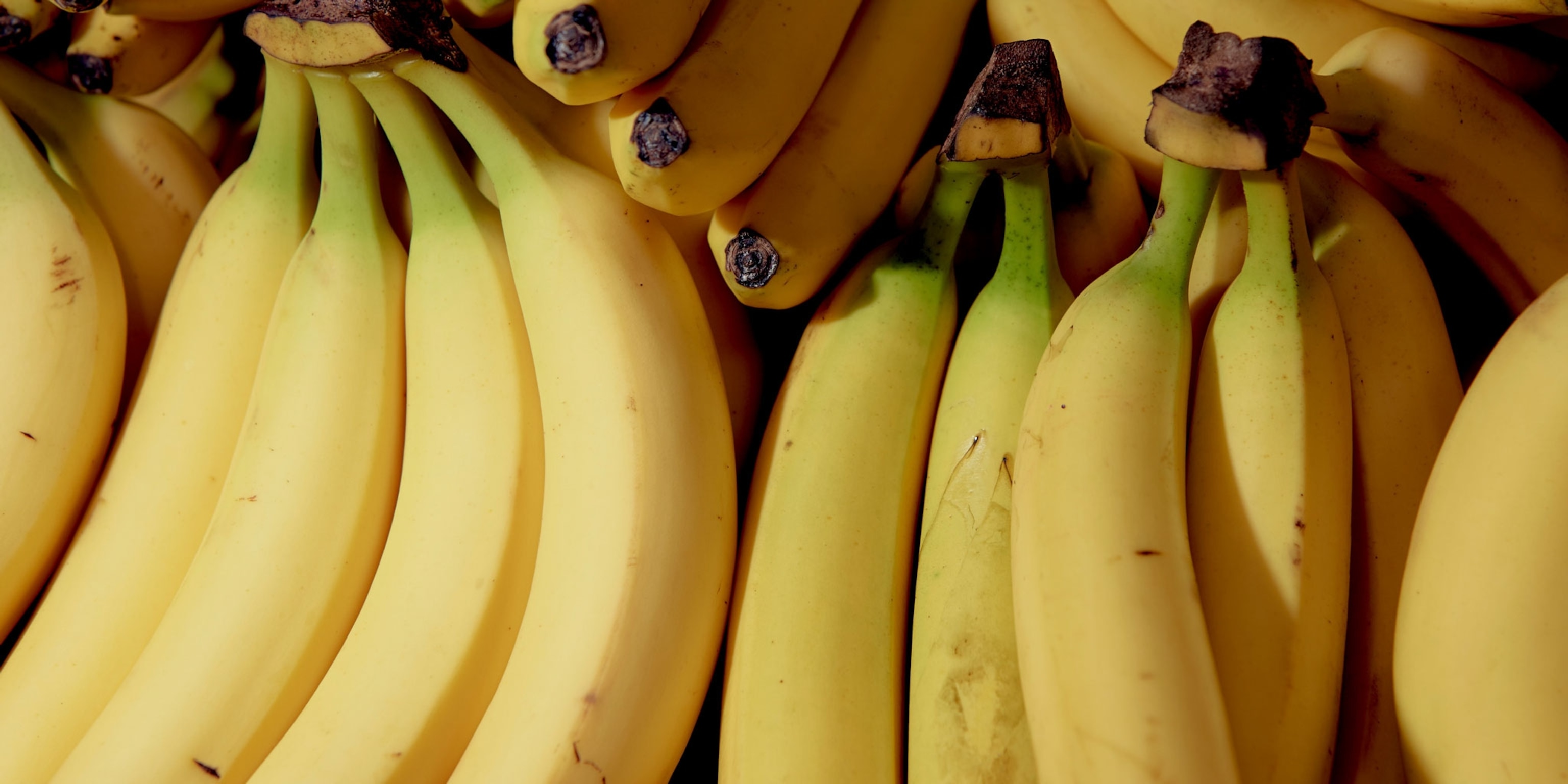 Detail Image Of Banana Fruit Nomer 51
