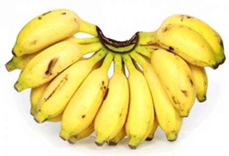 Detail Image Of Banana Fruit Nomer 56