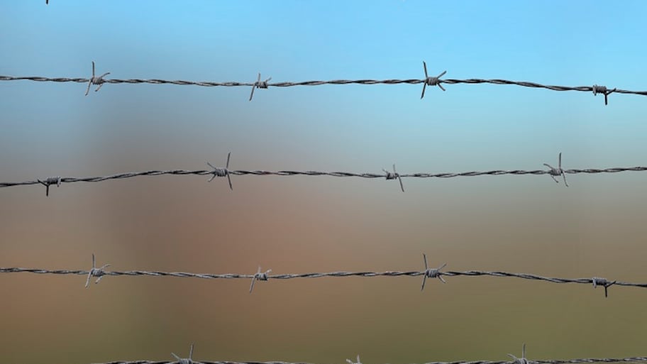 Detail Image Of Barbed Wire Fence Nomer 4