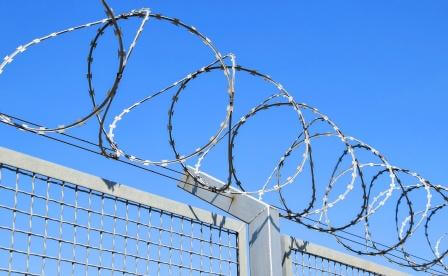 Detail Image Of Barbed Wire Fence Nomer 32